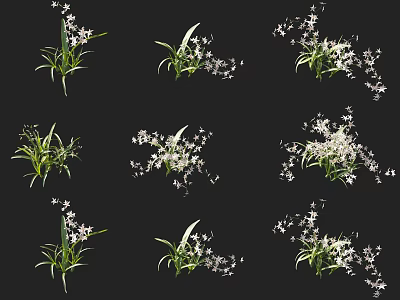 Various Beautiful Flowers With Green Leaves In Different Arrangements On Black Background 3d model
