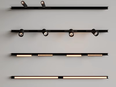 Modern Track Downlights And Spotlights With Black Sleek Design And Adjustable Heads 3d model