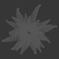 Lush Fern Plant With Feathery Green Fronds And Curled New Shoots