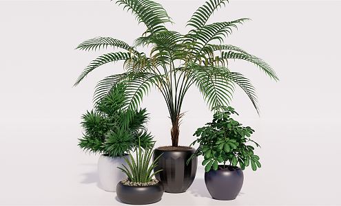 Modern potted plant green plant ornaments green plant potted plant green plant furnishings 3d model