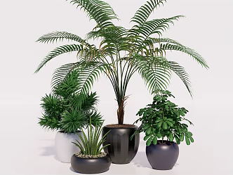 Modern potted plant green plant ornaments green plant potted plant green plant furnishings 3d model