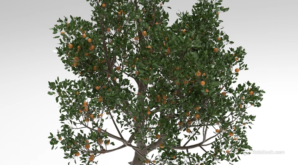Tall Leafy Arbor with Dense Green Foliage and Ripe Orange Fruits on Thick Trunk 3d model 