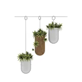 Hanging Decorative Plant Pot Set With White Wooden Planters And Green Plants