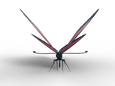 Modern Butterfly model