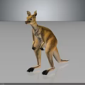 Orange and Beige Kangaroo in Standing Pose Against Gray Gradient Background With Reflective Surface