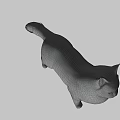 Realistic Calico Cat With White Black Brown Fur Standing On Green Background