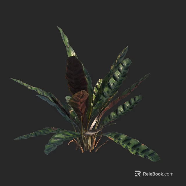 Lush Tropical Houseplant With Green And Dark Purple Large Textured Leaves 3d model 