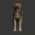 Realistic Labrador Dog Sculpture With Detailed Vest Carving And Lifelike Features