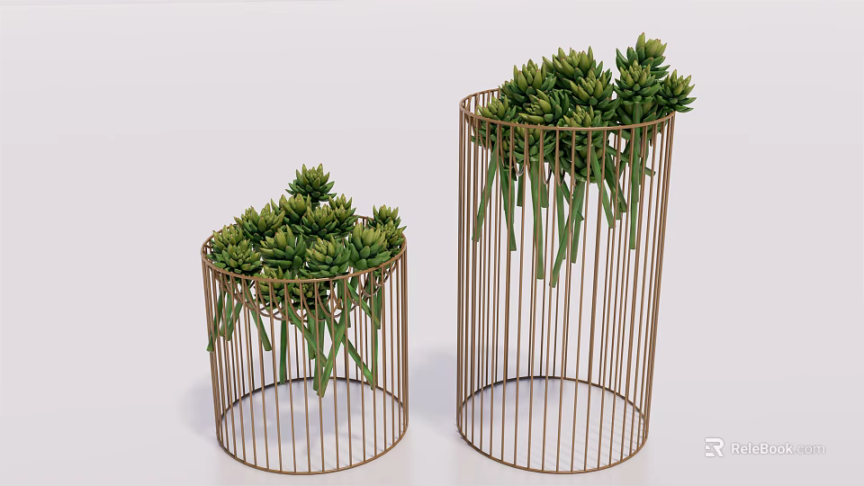 Modern Metal Wire Cylinder Planters With Lush Green Succulent Foliage 3d model 