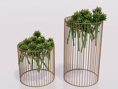 Modern Metal Wire Cylinder Planters With Lush Green Succulent Foliage 3d model