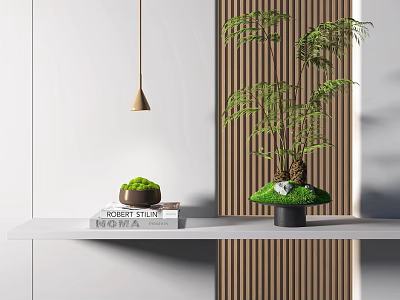 Bonsai Potted Plant on White Shelf with Books Small Green Plant Wooden Wall and Hanging Lamp 3d model