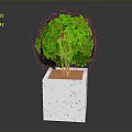 Lush Green Plant with White Speckled Square Planter on Gray Background
