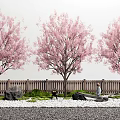 Pink Blossom Trees in Garden Landscape with Wooden Fence Pebbles Rocks and Green Plants