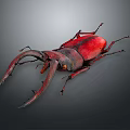 Red Beetle With Large Curved Mandibles On Dark Background Detailed View