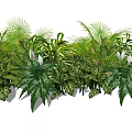 Lush Tropical Greenery Arrangement With Various Leaves And White Flowers