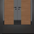 Modern Double Doors Design With Wooden Panels And Sleek Metal Frames