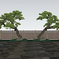 Two Elegant Arbor Trees With Wooden Fence Stone Pavement And Blue Sky White Clouds