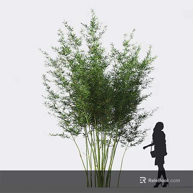 Lush Bamboo Clusters With Silhouetted Figure Nearby 3d model 