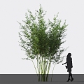 Modern Bamboo Qin Silk Bamboo Flower Filial Piety Bamboo 3d model