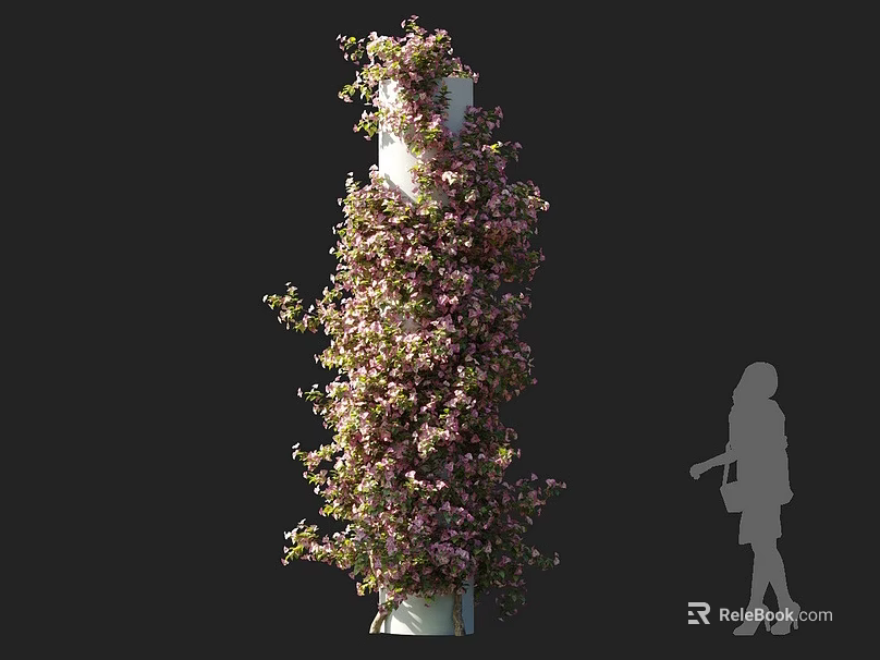 Climbing Vines With Pink Flowers Growing On White Pillar And Human Silhouette 3d model 