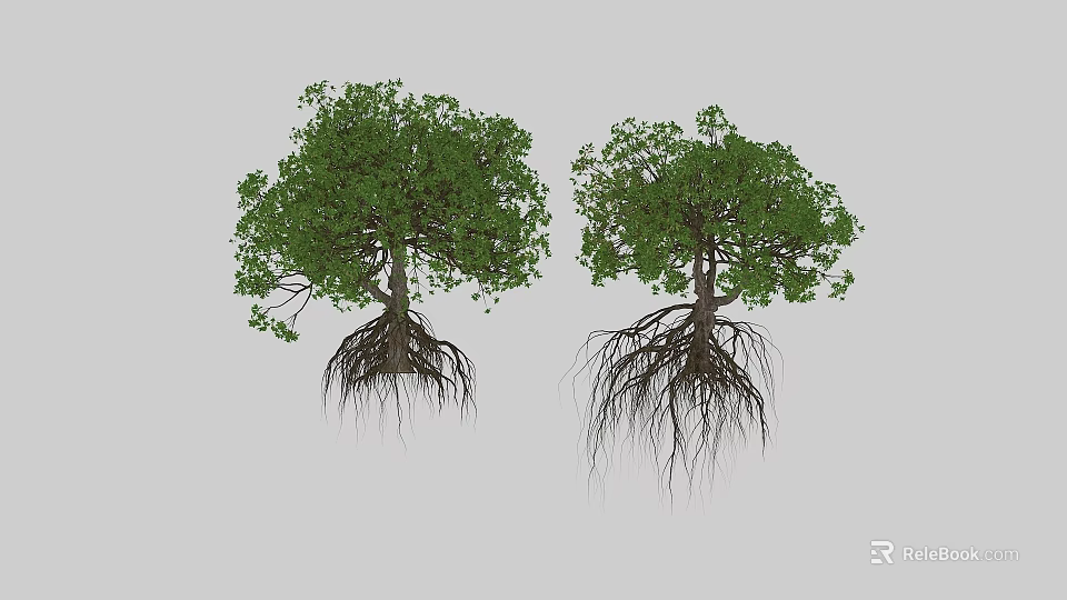 Two Natural Green Trees With Exposed Roots And Lush Foliage Structure 3d model 