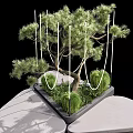 Decorative Arbor Tree With Hanging Ropes On Modern Platform And Surrounding Green Plants