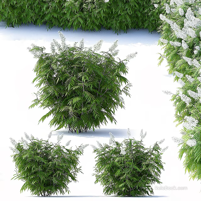 Lush Green Shrub With White Flowers Enhancing Garden Landscape Beauty 3d model 