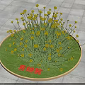 Yellow Flowering Shrub in Circular Planter with Green Grass and Stone Pavement