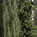 Lush Vertical Greenery Wall with Dark Marble Surroundings for Interior Decor