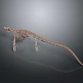 Detailed Animal Skeleton Featuring Long Tail And Limb Bones On Dark Background