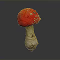 Vibrant Red Mushroom With White Spots Isolated On Grey Background Macro View