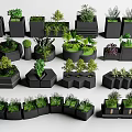 Various Green Plants In Black Planters With Different Geometric Shapes