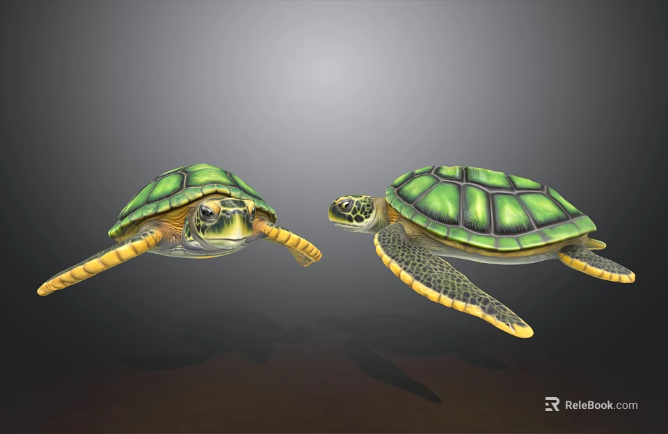 Two Green Sea Turtles Swimming Gracefully in Clear Underwater Environment 3d model 