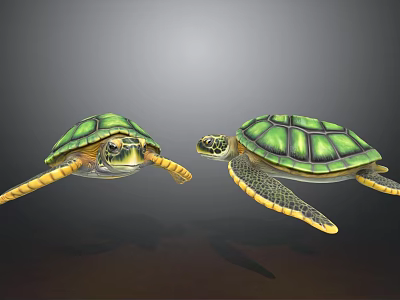 Two Green Sea Turtles Swimming Gracefully in Clear Underwater Environment 3d model