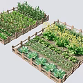 Wooden Fenced Vegetable Garden With Raised Beds And Various Growing Plants