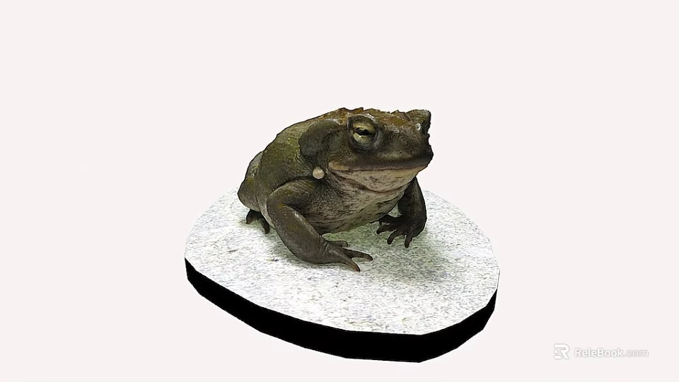 Realistic Brown Frog Statue On White Circular Base With Detailed Texture 3d model 