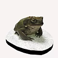 Realistic Brown Frog Statue On White Circular Base With Detailed Texture