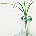 Transparent Textured Vase with Tall Grass and Light Green Frosted Vase on White Background