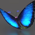 Butterfly Camouflage Butterfly Color Butterfly Luminous Butterfly Science Fiction Butterfly Magic Butterfly 3d model