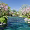 Natural Rockery Stones In Serene Garden With River Lotus Flowers And Blooming Trees