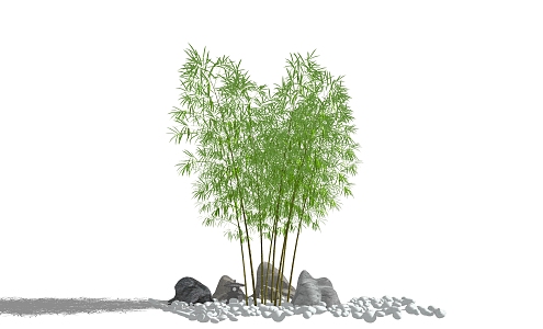 Chinese bamboo landscape plants stone landscaping flowers and plants 3d model