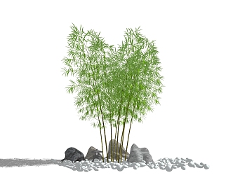 Chinese bamboo landscape plants stone landscaping flowers and plants 3d model