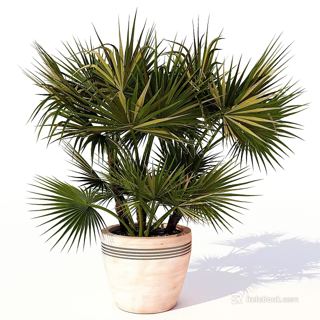 Elegant Decorative Plant Arrangement With Green Palm In Striped Ceramic Pot 3d model 