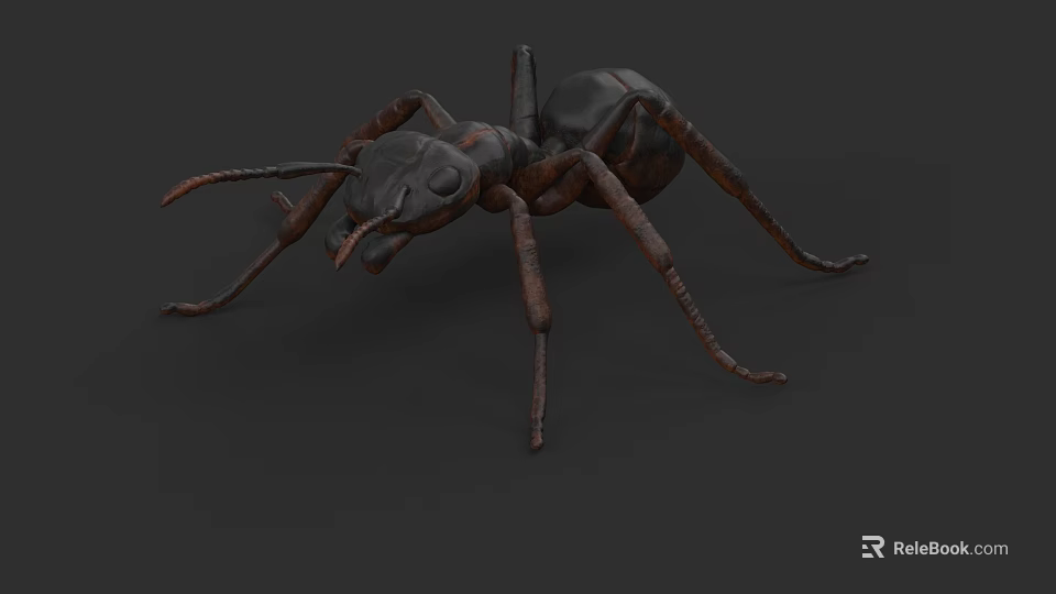 Detailed 3D Ant Model With Metallic Texture And Extended Legs On Dark Background 3d model 