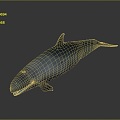 Modern Killer Whale Orca Killer Whale 3d model