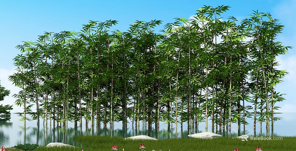 Tall Bamboo Trees Forest Under Blue Sky With Water Reflection And Red Lotus Flowers 3d model 