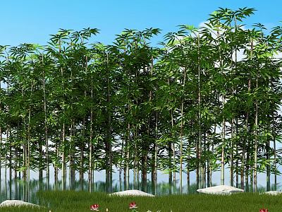 Tall Bamboo Trees Forest Under Blue Sky With Water Reflection And Red Lotus Flowers 3d model