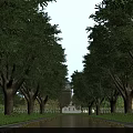 Municipal Road Lined With Tall Trees Green Lawns And Surrounding Buildings