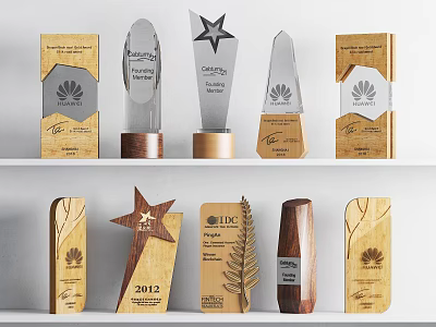 Unique Star Shaped Trophies and Medals with Wooden Frames and Engraved Details on Display Shelf 3d model