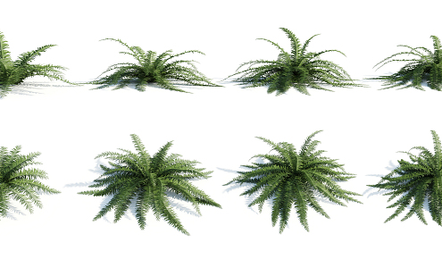 modern plant shrub 3d model